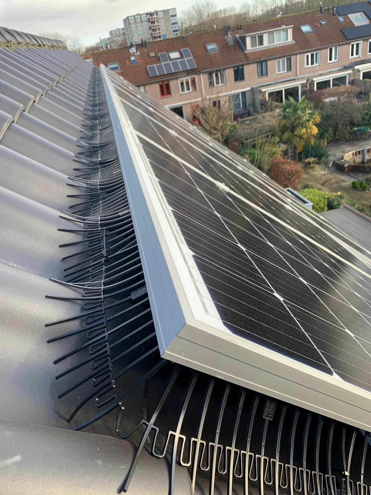 Dettaglio BirdBlocker su tetto